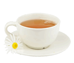 Infusio